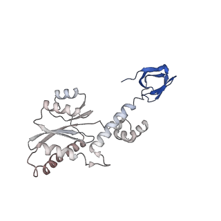 26322_7u32_F_v1-0
MVV cleaved synaptic complex (CSC) intasome at 3.4 A resolution
