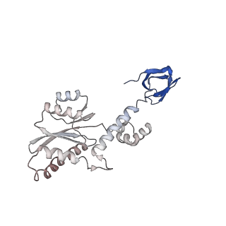 26322_7u32_F_v1-1
MVV cleaved synaptic complex (CSC) intasome at 3.4 A resolution