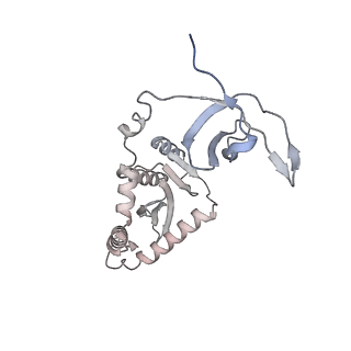 26322_7u32_H_v1-0
MVV cleaved synaptic complex (CSC) intasome at 3.4 A resolution