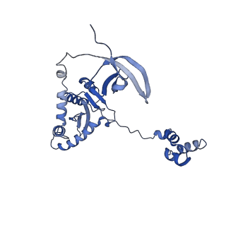 26322_7u32_I_v1-1
MVV cleaved synaptic complex (CSC) intasome at 3.4 A resolution