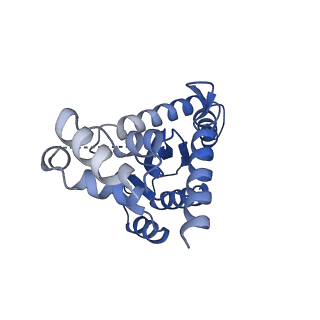 26322_7u32_J_v1-0
MVV cleaved synaptic complex (CSC) intasome at 3.4 A resolution