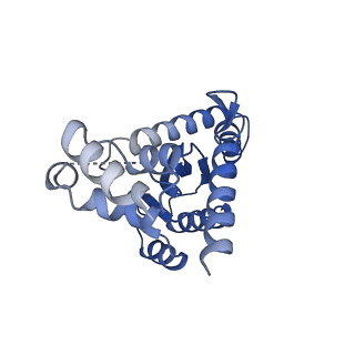 26322_7u32_J_v1-1
MVV cleaved synaptic complex (CSC) intasome at 3.4 A resolution