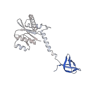 26322_7u32_L_v1-0
MVV cleaved synaptic complex (CSC) intasome at 3.4 A resolution