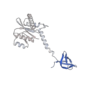 26322_7u32_L_v1-1
MVV cleaved synaptic complex (CSC) intasome at 3.4 A resolution