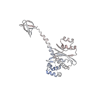 26322_7u32_M_v1-0
MVV cleaved synaptic complex (CSC) intasome at 3.4 A resolution