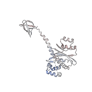 26322_7u32_M_v1-1
MVV cleaved synaptic complex (CSC) intasome at 3.4 A resolution