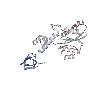 26322_7u32_N_v1-0
MVV cleaved synaptic complex (CSC) intasome at 3.4 A resolution