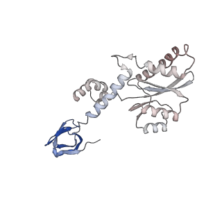 26322_7u32_N_v1-1
MVV cleaved synaptic complex (CSC) intasome at 3.4 A resolution