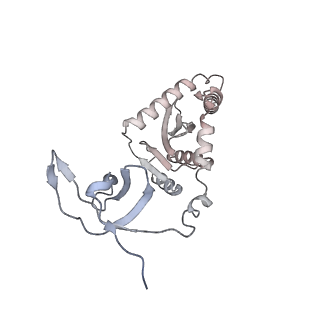 26322_7u32_P_v1-0
MVV cleaved synaptic complex (CSC) intasome at 3.4 A resolution