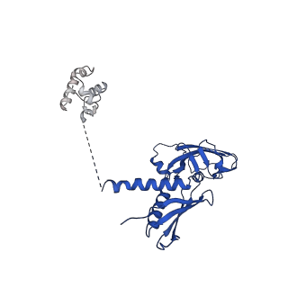 41856_8u3b_A_v1-1
Cryo-EM structure of E. coli NarL-transcription activation complex at 3.2A