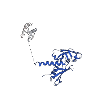 41856_8u3b_A_v1-2
Cryo-EM structure of E. coli NarL-transcription activation complex at 3.2A