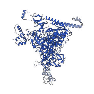41856_8u3b_C_v1-1
Cryo-EM structure of E. coli NarL-transcription activation complex at 3.2A