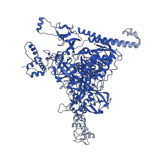 41856_8u3b_C_v1-2
Cryo-EM structure of E. coli NarL-transcription activation complex at 3.2A