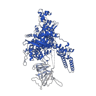 41856_8u3b_D_v1-1
Cryo-EM structure of E. coli NarL-transcription activation complex at 3.2A