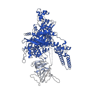 41856_8u3b_D_v1-2
Cryo-EM structure of E. coli NarL-transcription activation complex at 3.2A