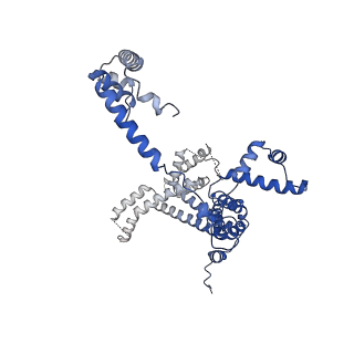 41856_8u3b_F_v1-1
Cryo-EM structure of E. coli NarL-transcription activation complex at 3.2A