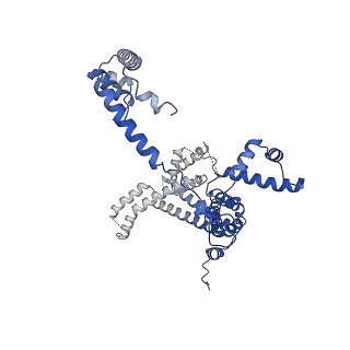 41856_8u3b_F_v1-2
Cryo-EM structure of E. coli NarL-transcription activation complex at 3.2A