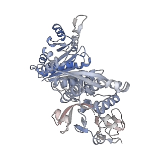 8504_5u3c_A_v1-2
CryoEM structure of the CTP synthase filament at 4.6 Angstrom resolution