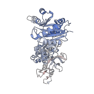 8504_5u3c_B_v1-2
CryoEM structure of the CTP synthase filament at 4.6 Angstrom resolution