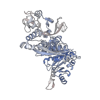 8504_5u3c_C_v1-2
CryoEM structure of the CTP synthase filament at 4.6 Angstrom resolution