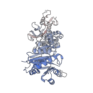 8504_5u3c_D_v1-2
CryoEM structure of the CTP synthase filament at 4.6 Angstrom resolution