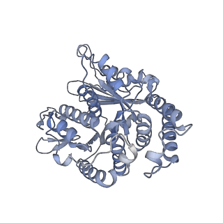 20631_6u42_1K_v1-1
Natively decorated ciliary doublet microtubule