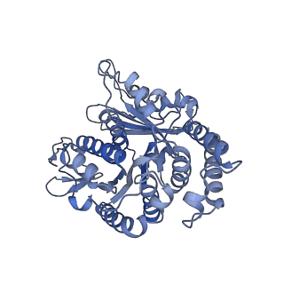 20631_6u42_1U_v1-1
Natively decorated ciliary doublet microtubule