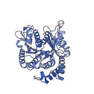 20631_6u42_2Q_v1-1
Natively decorated ciliary doublet microtubule