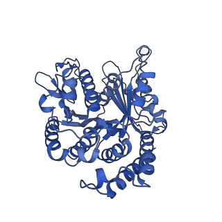 20631_6u42_2U_v1-1
Natively decorated ciliary doublet microtubule