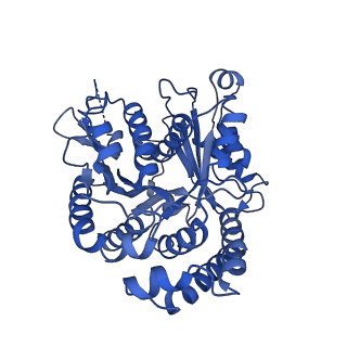 20631_6u42_2V_v1-1
Natively decorated ciliary doublet microtubule