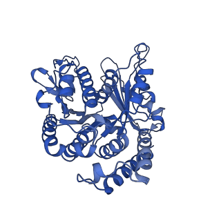 20631_6u42_2W_v1-1
Natively decorated ciliary doublet microtubule