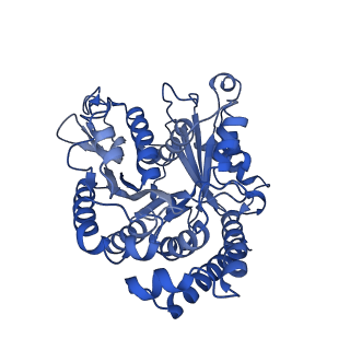 20631_6u42_2X_v1-1
Natively decorated ciliary doublet microtubule