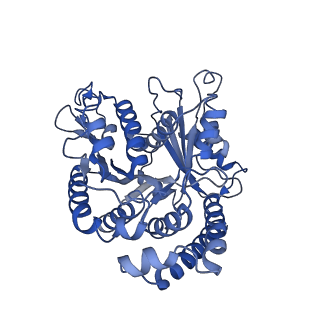 20631_6u42_3B_v1-1
Natively decorated ciliary doublet microtubule