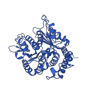 20631_6u42_3_v1-1
Natively decorated ciliary doublet microtubule