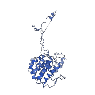 20631_6u42_4D_v1-1
Natively decorated ciliary doublet microtubule