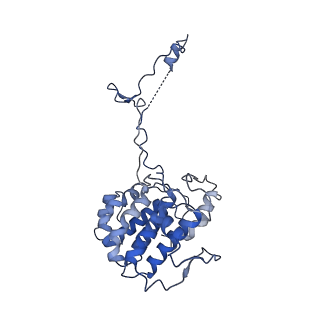 20631_6u42_4F_v1-1
Natively decorated ciliary doublet microtubule
