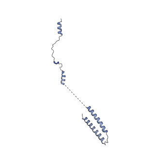 20631_6u42_5V_v1-1
Natively decorated ciliary doublet microtubule