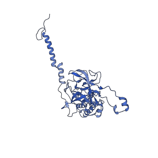 20631_6u42_6F_v1-1
Natively decorated ciliary doublet microtubule
