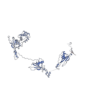 20631_6u42_6U_v1-1
Natively decorated ciliary doublet microtubule