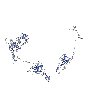 20631_6u42_6V_v1-1
Natively decorated ciliary doublet microtubule