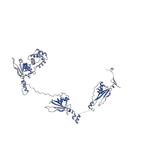 20631_6u42_6W_v1-1
Natively decorated ciliary doublet microtubule