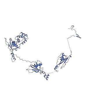 20631_6u42_6X_v1-1
Natively decorated ciliary doublet microtubule