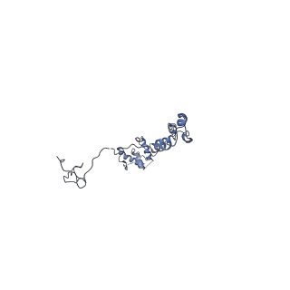 20631_6u42_7I_v1-1
Natively decorated ciliary doublet microtubule