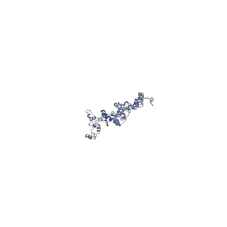 20631_6u42_7J_v1-1
Natively decorated ciliary doublet microtubule