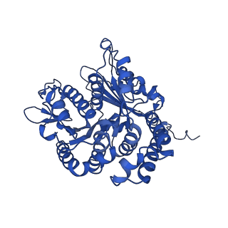 20631_6u42_7_v1-1
Natively decorated ciliary doublet microtubule