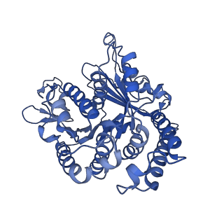 20631_6u42_A5_v1-1
Natively decorated ciliary doublet microtubule