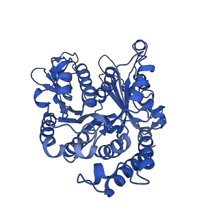 20631_6u42_A9_v1-1
Natively decorated ciliary doublet microtubule