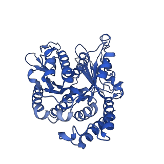 20631_6u42_B1_v1-1
Natively decorated ciliary doublet microtubule