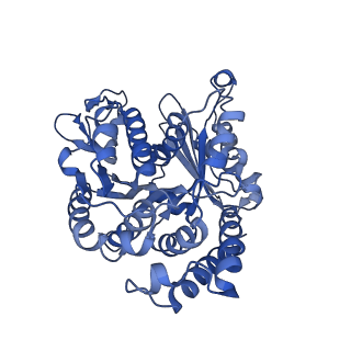20631_6u42_B8_v1-1
Natively decorated ciliary doublet microtubule