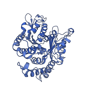 20631_6u42_C6_v1-1
Natively decorated ciliary doublet microtubule